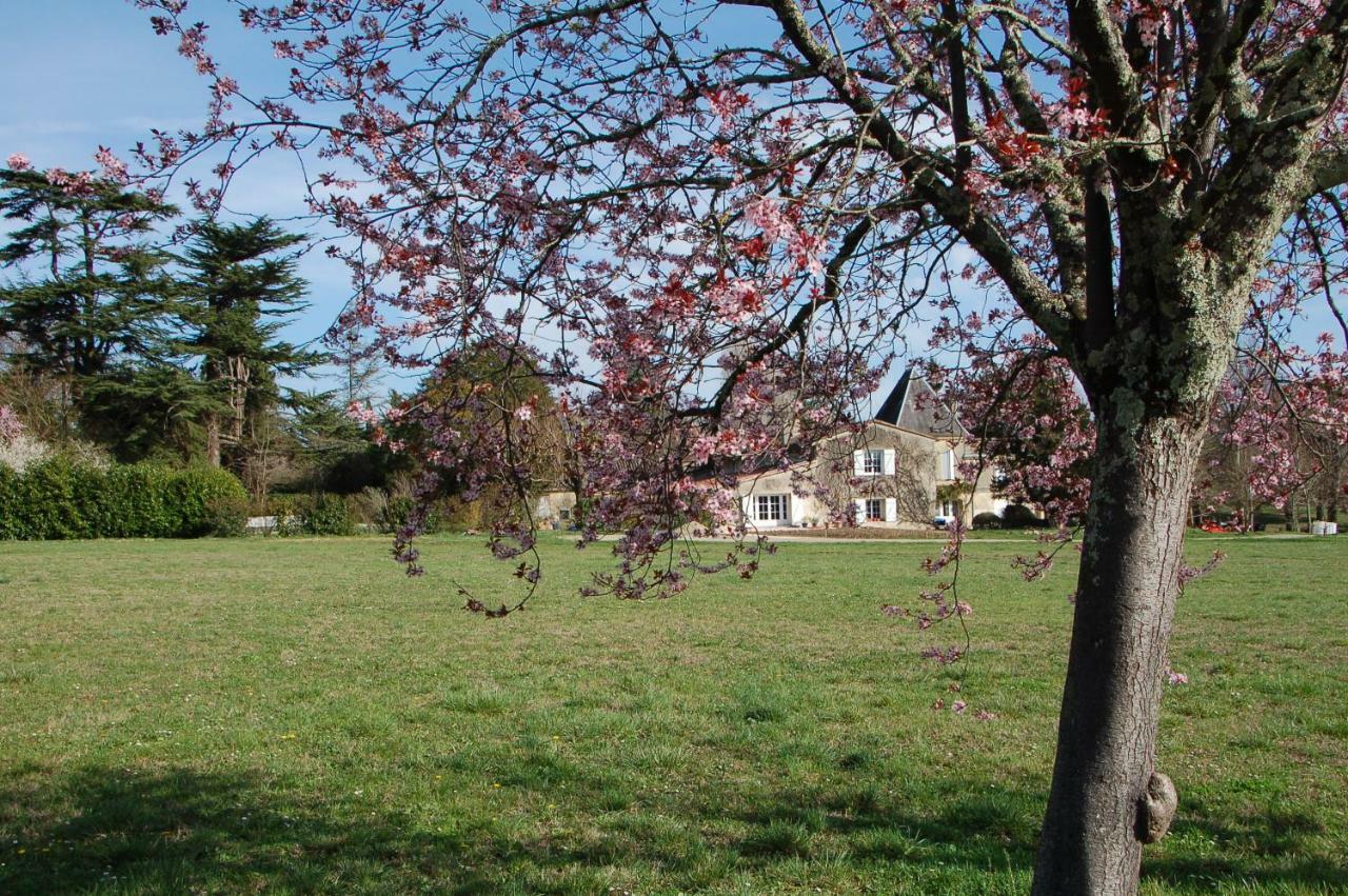 Chateau Ysard Camblanes-et-Meynac Eksteriør bilde