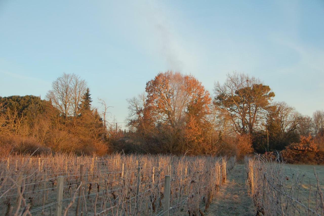 Chateau Ysard Camblanes-et-Meynac Eksteriør bilde